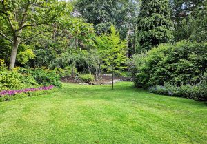 Optimiser l'expérience du jardin à Damas-et-Bettegney